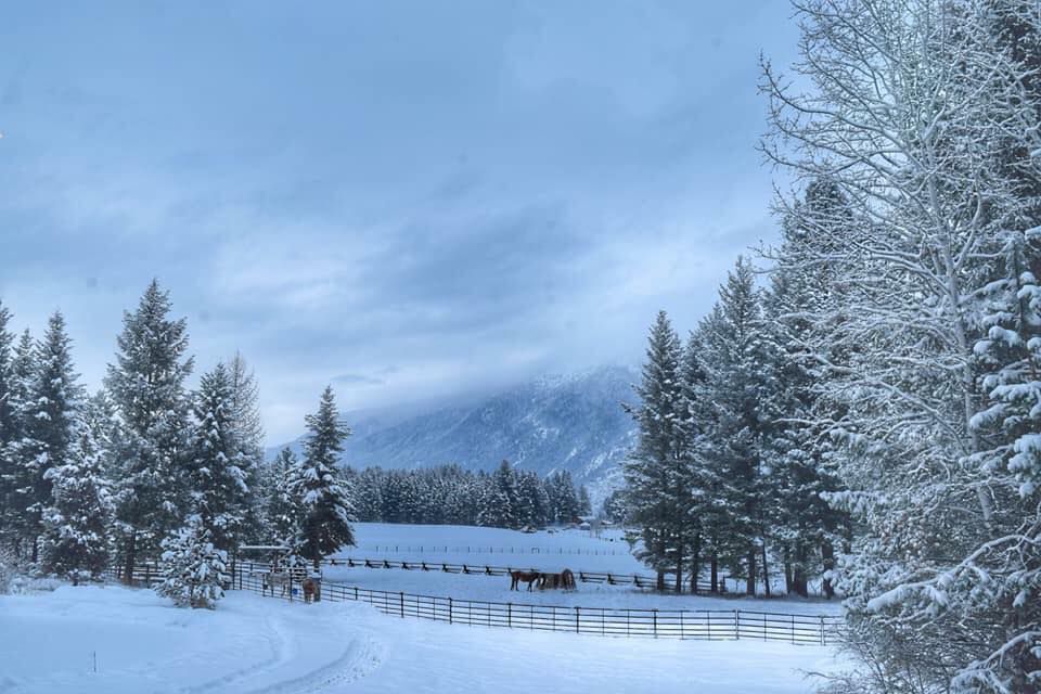 Montana snow photos from readers